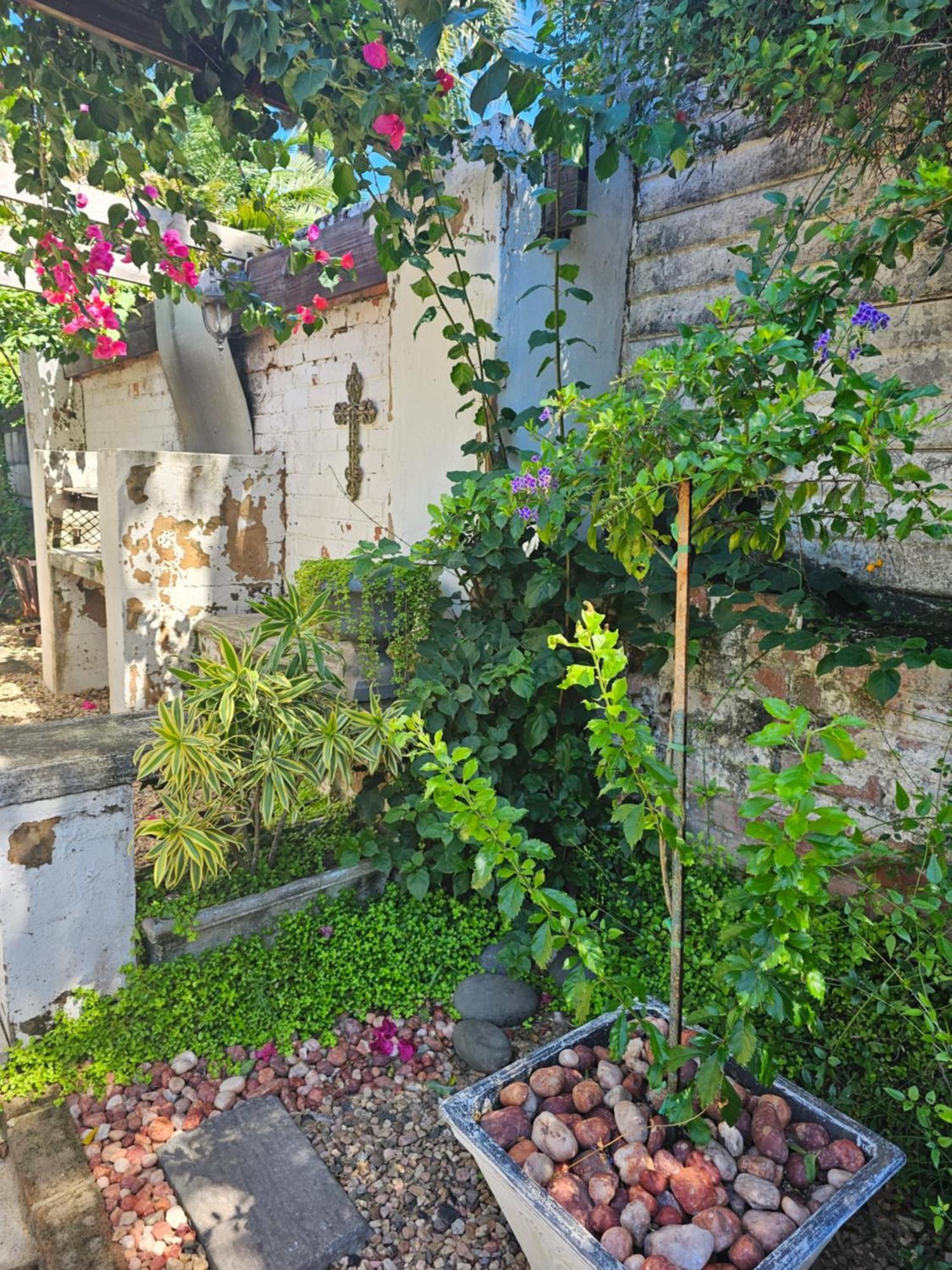 Le'Cottage סקוטבורג מראה חיצוני תמונה